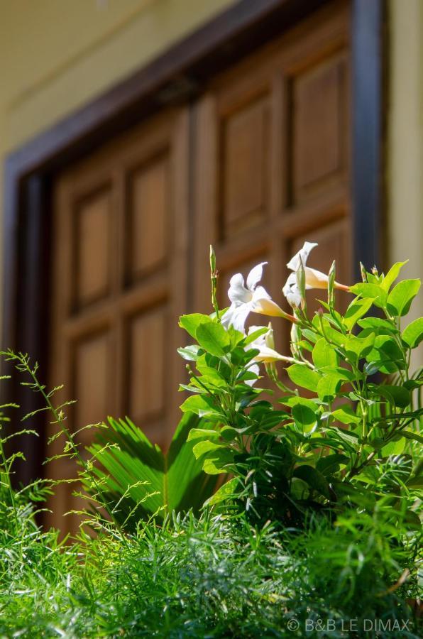 Le Dimax Bed & Breakfast Sant'Agnello Exterior photo